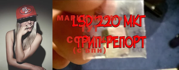 прущий лед Алзамай