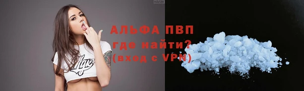 прущий лед Алзамай