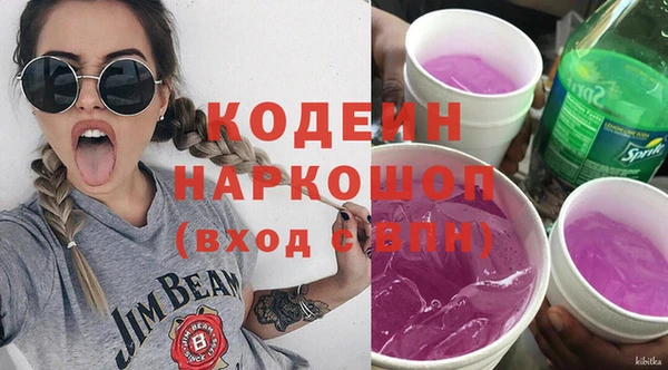 прущий лед Алзамай