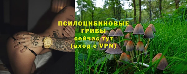 прущий лед Алзамай