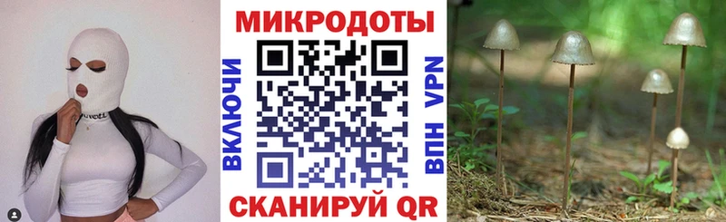 Псилоцибиновые грибы Psilocybine cubensis  закладка  Коркино 